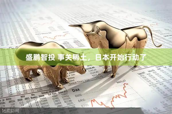 盛鹏智投 事关稀土，日本开始行动了
