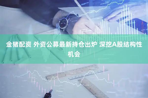 金猪配资 外资公募最新持仓出炉 深挖A股结构性机会