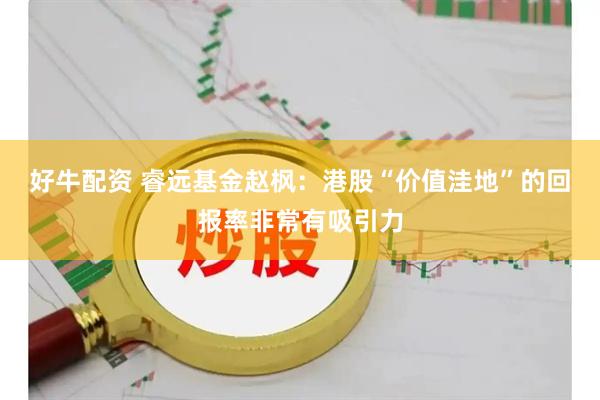 好牛配资 睿远基金赵枫：港股“价值洼地”的回报率非常有吸引力