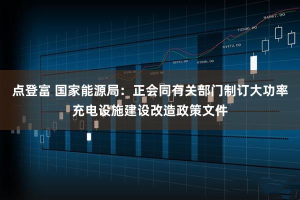 点登富 国家能源局：正会同有关部门制订大功率充电设施建设改造政策文件